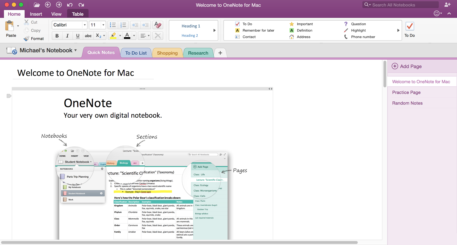 download onenote for mac